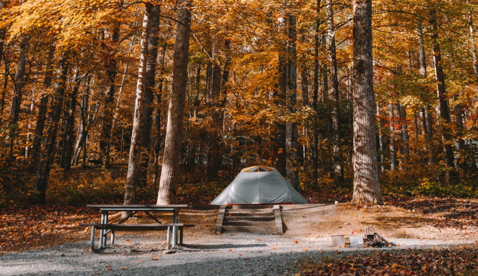 is it safe to camp alone?